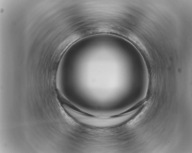 X0000088430801200705221246