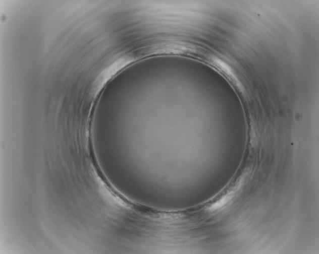 X0000088430802200705221246