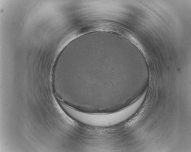 X0000088430803200705221246