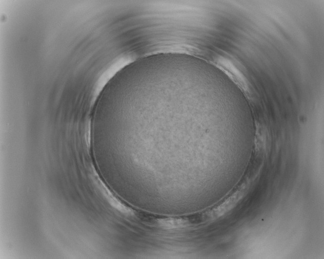 X0000088430804200705221246