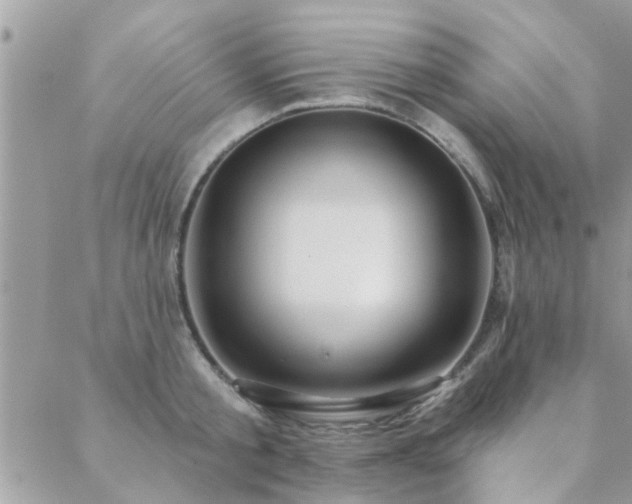 X0000088430805200705221246