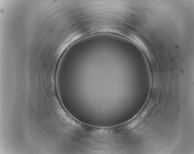 X0000088430806200705221246