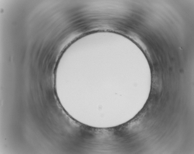 X0000088430807200705221246