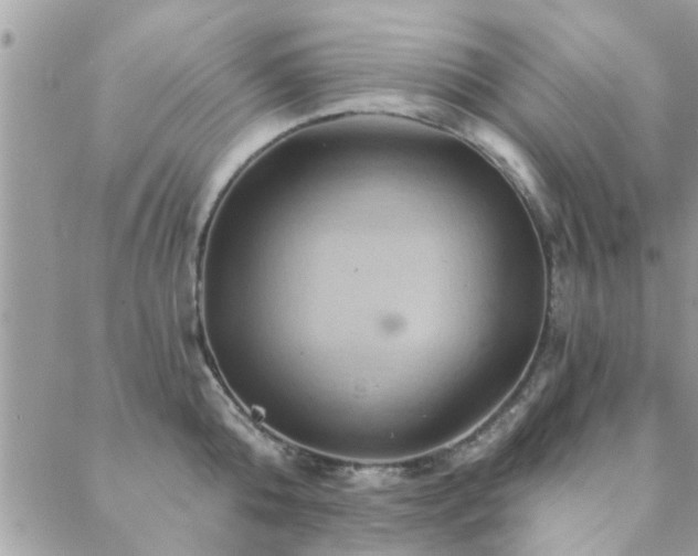 X0000088430808200705221246