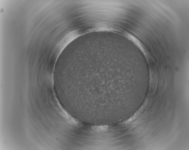 X0000088430810200705221246