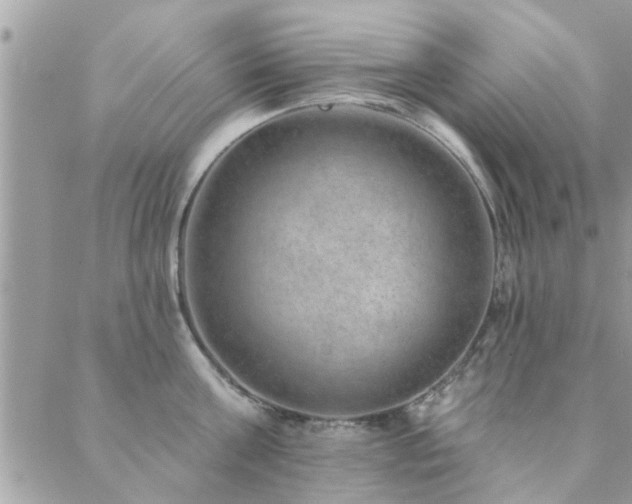 X0000088430811200705221246