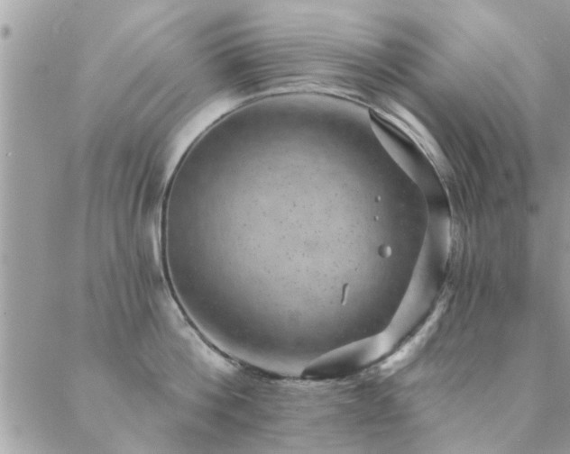 X0000088430812200705221246