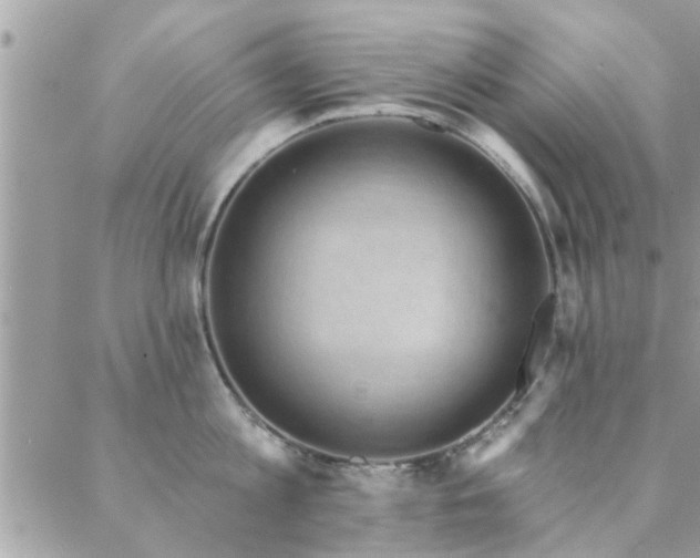 X0000088430813200705221245