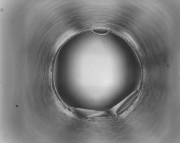 X0000088430814200705221245