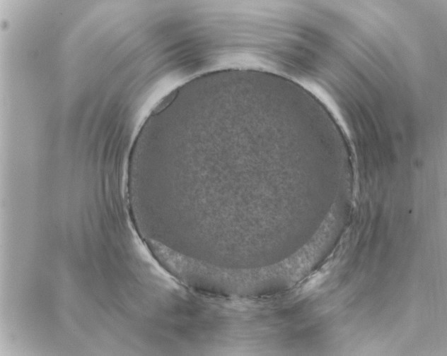 X0000088430815200705221245