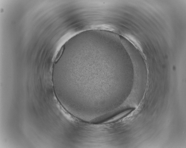 X0000088430816200705221245