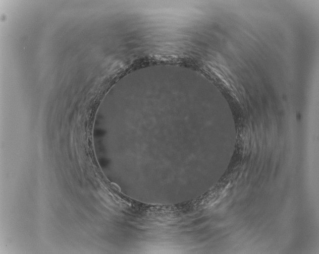 X0000088430817200705221245