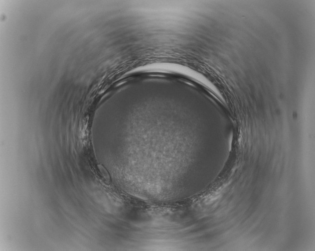 X0000088430818200705221245