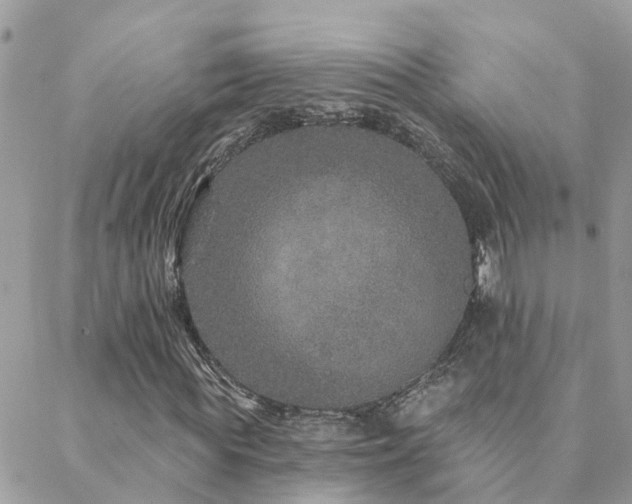 X0000088430819200705221245