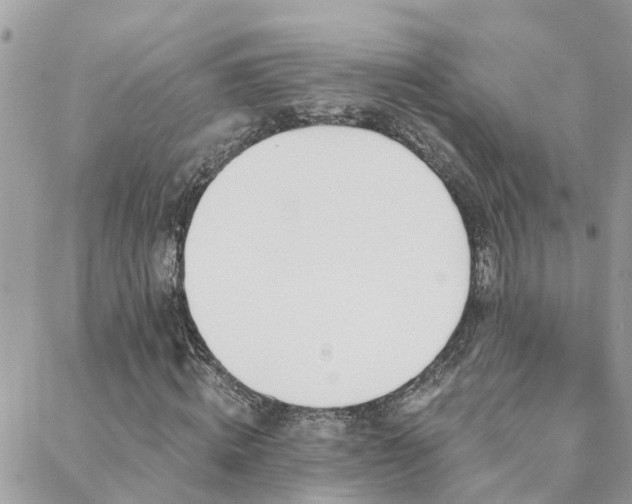 X0000088430820200705221245