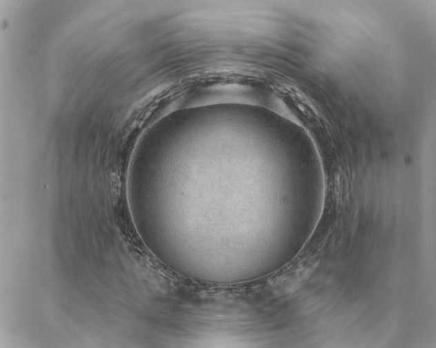 X0000088430821200705221245