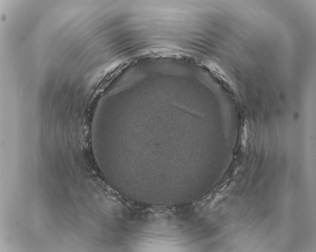 X0000088430822200705221245