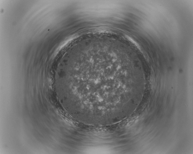 X0000088430823200705221245