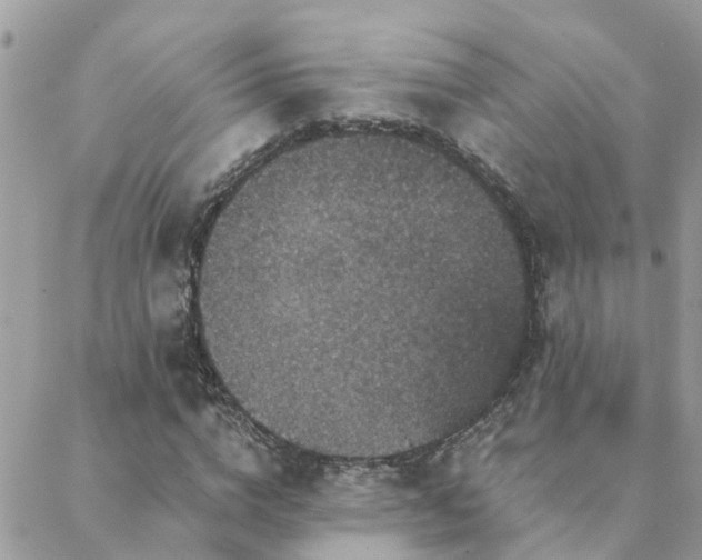 X0000088430824200705221245