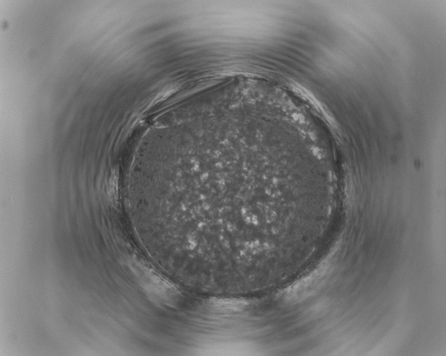 X0000088430825200705221245