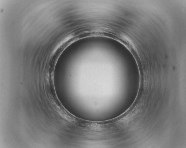 X0000088430827200705221245