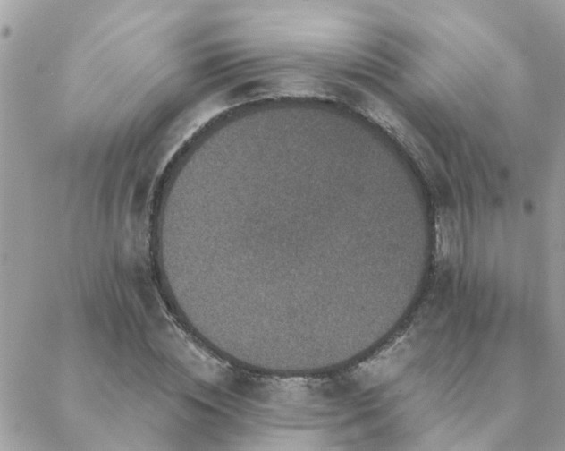 X0000088430828200705221245