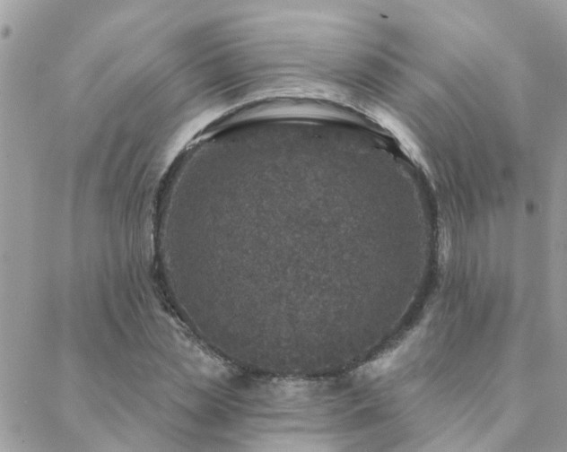 X0000088430829200705221245