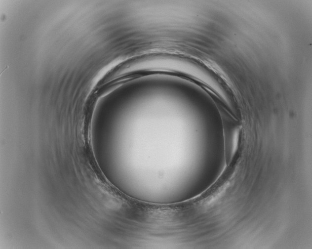 X0000088430830200705221245