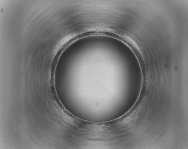 X0000088430831200705221245