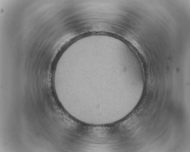 X0000088430832200705221245