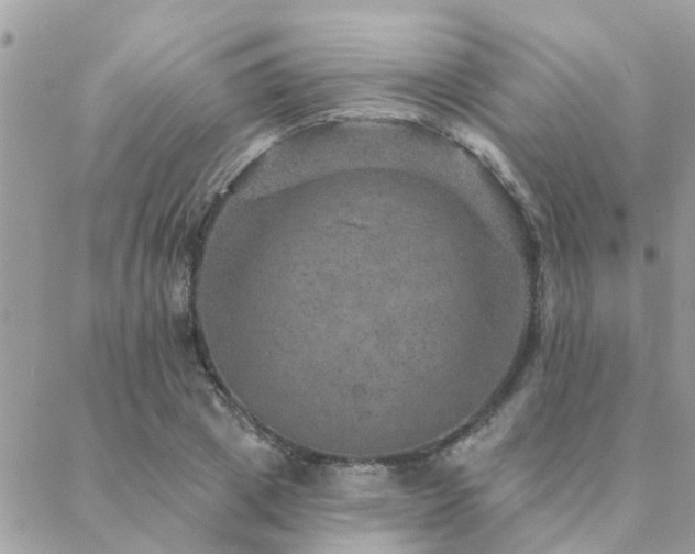 X0000088430833200705221245