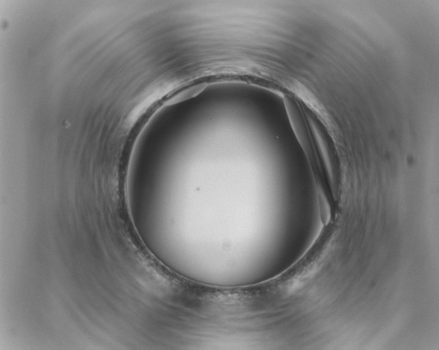 X0000088430834200705221245