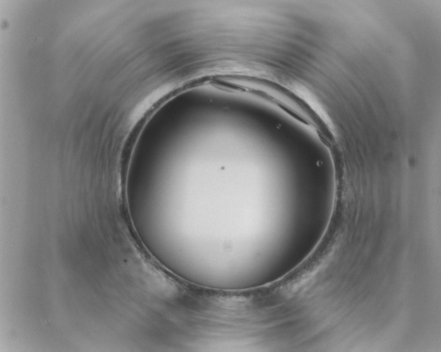 X0000088430837200705221245