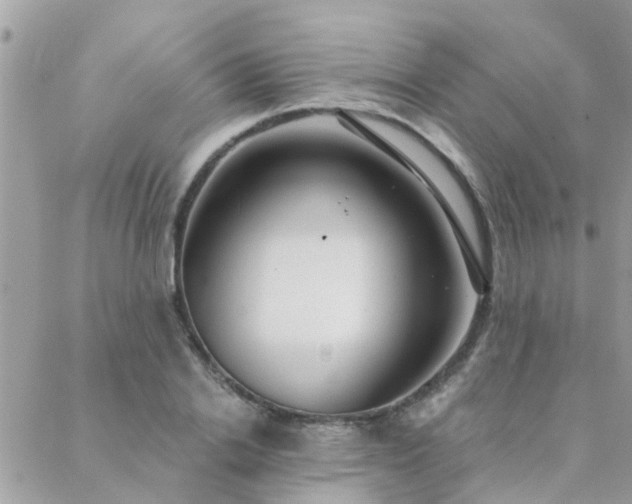 X0000088430838200705221245