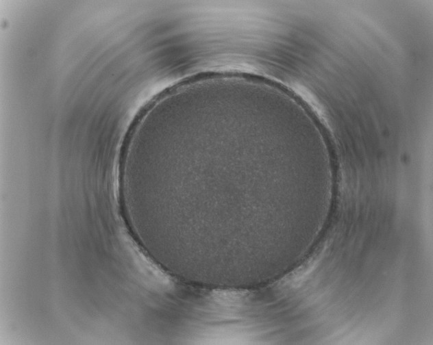 X0000088430840200705221245