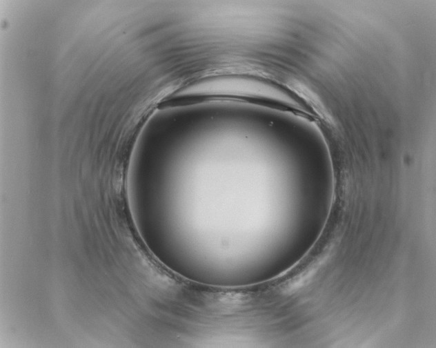 X0000088430841200705221245