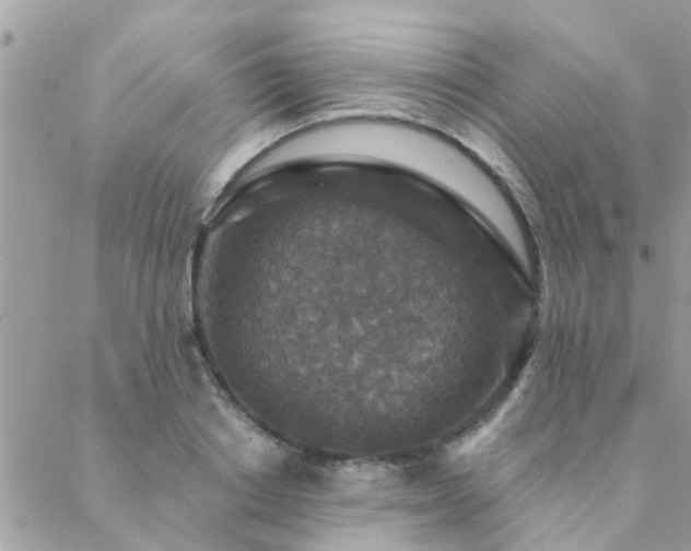 X0000088430842200705221245