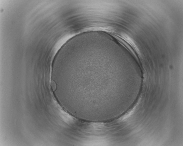 X0000088430844200705221245