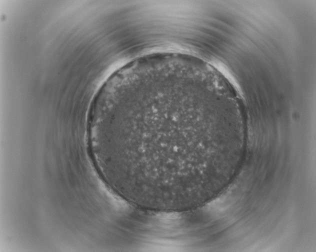 X0000088430845200705221245