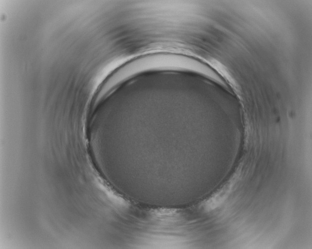 X0000088430846200705221245