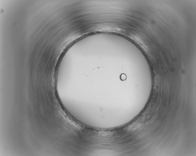 X0000088430848200705221245