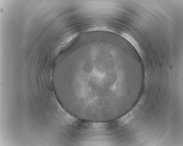 X0000088430849200705221245