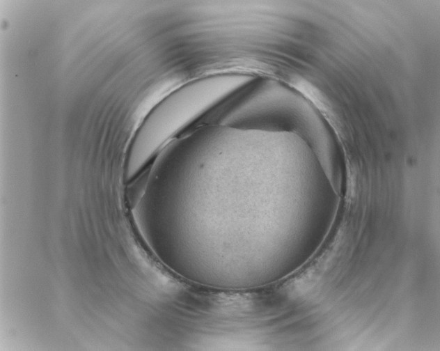 X0000088430850200705221245