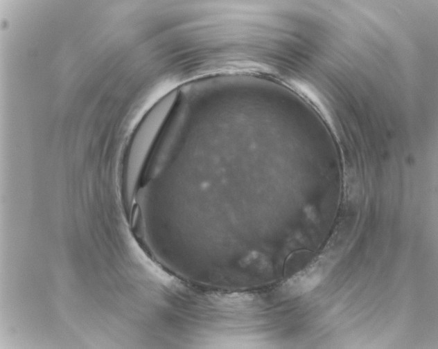 X0000088430851200705221245