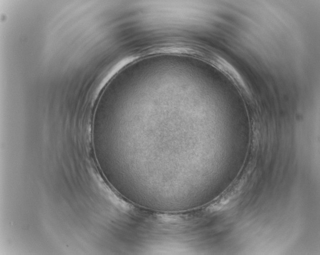 X0000088430852200705221245