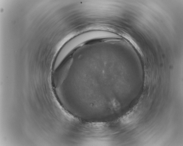 X0000088430853200705221245