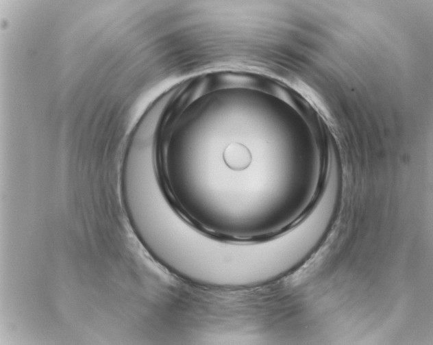 X0000088430854200705221245