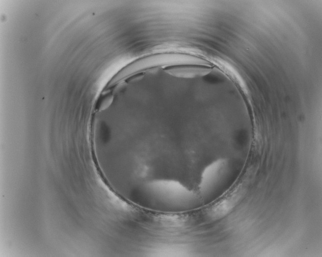 X0000088430855200705221245