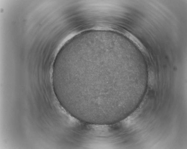 X0000088430856200705221245