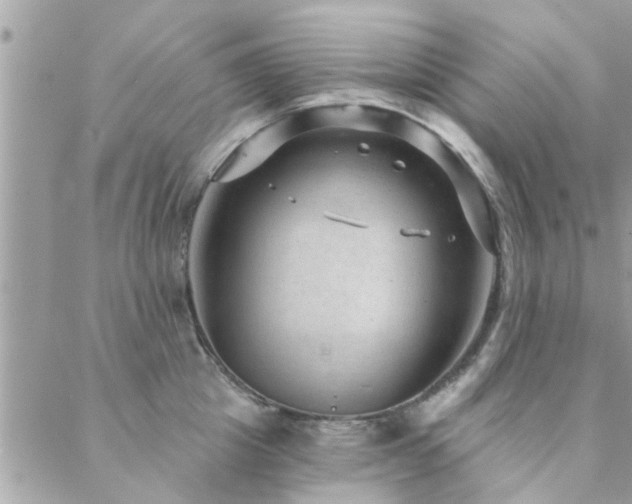 X0000088430857200705221245